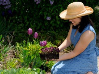 TUINTIPS OM WATEROVERLAST TE VERMINDEREN
