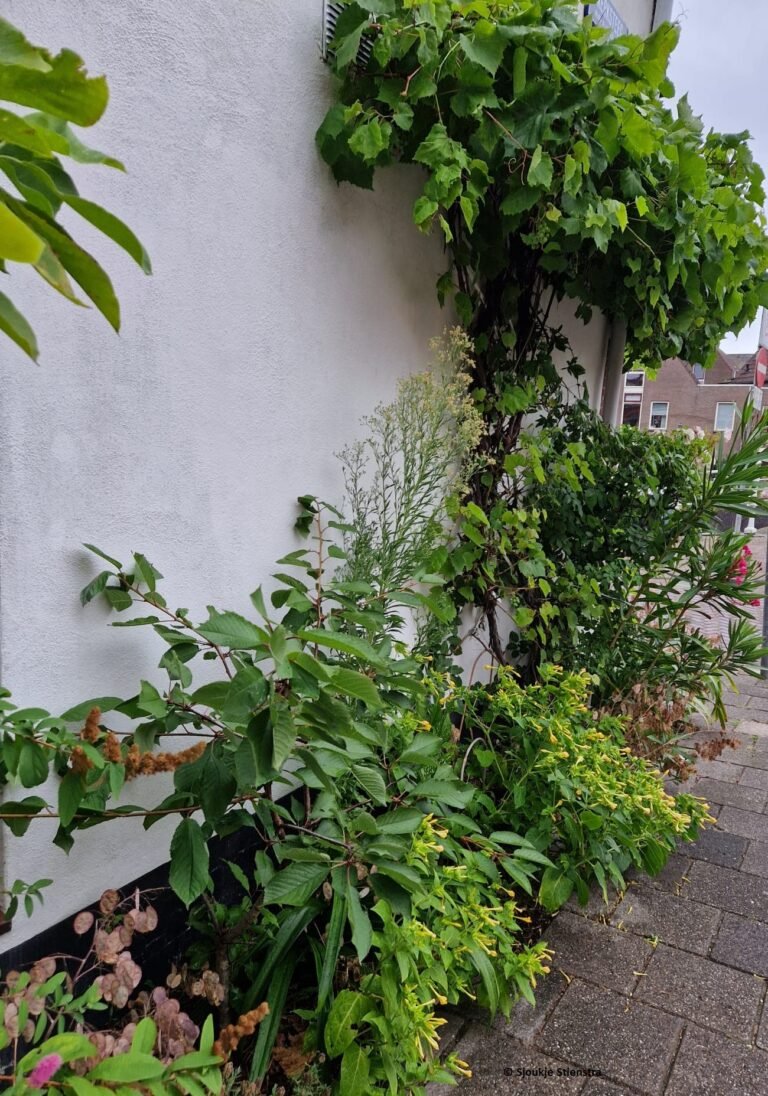 WhatsApp Image 2024-08-09 at 08.59