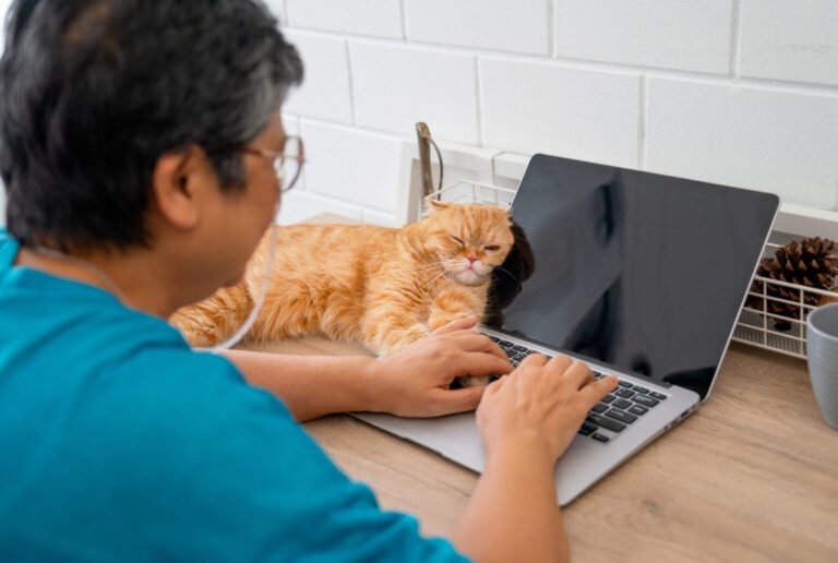 Orange cat lie on monitor of laptop that use to work by Senior woman and it relax and happy to stay with the owner in the house